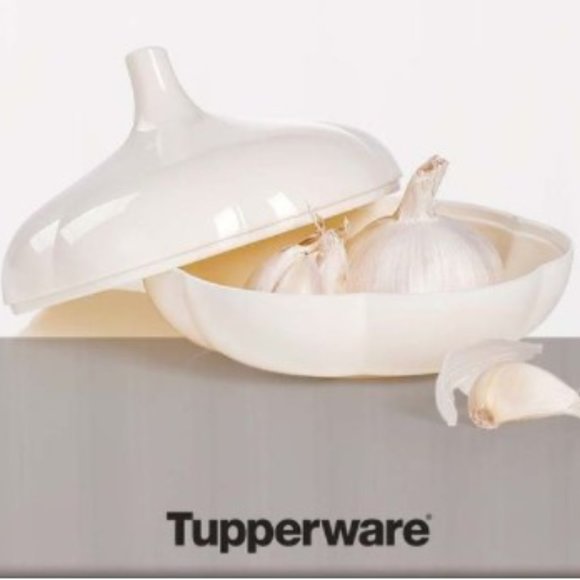 Tupperware Other - Tupperware Garlic Keeper-NWOT